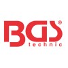 BGS