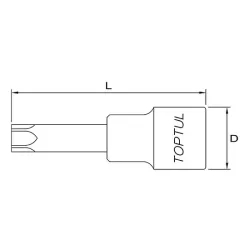 Star Bit Sockets - 1/2"