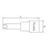 Star Bit Sockets - 1/2" - BCUA
