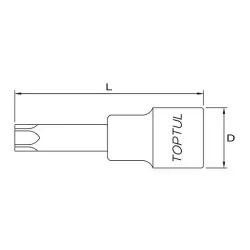 Star Bit Sockets - 1/2"