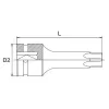 Star Bit Impact Sockets - 3/4" - KADA24